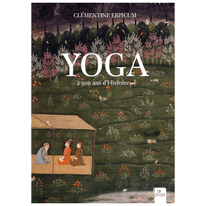 Couverture du livre Histoire du yoga de Clémentine Erpicum